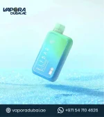 ELF BAR BC10000 Blueberry Mint DISPOSABLE VAPE In Dubai UAE
