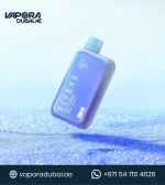 ELF BAR BC10000 Grape Cherry DISPOSABLE VAPE In Dubai UAE