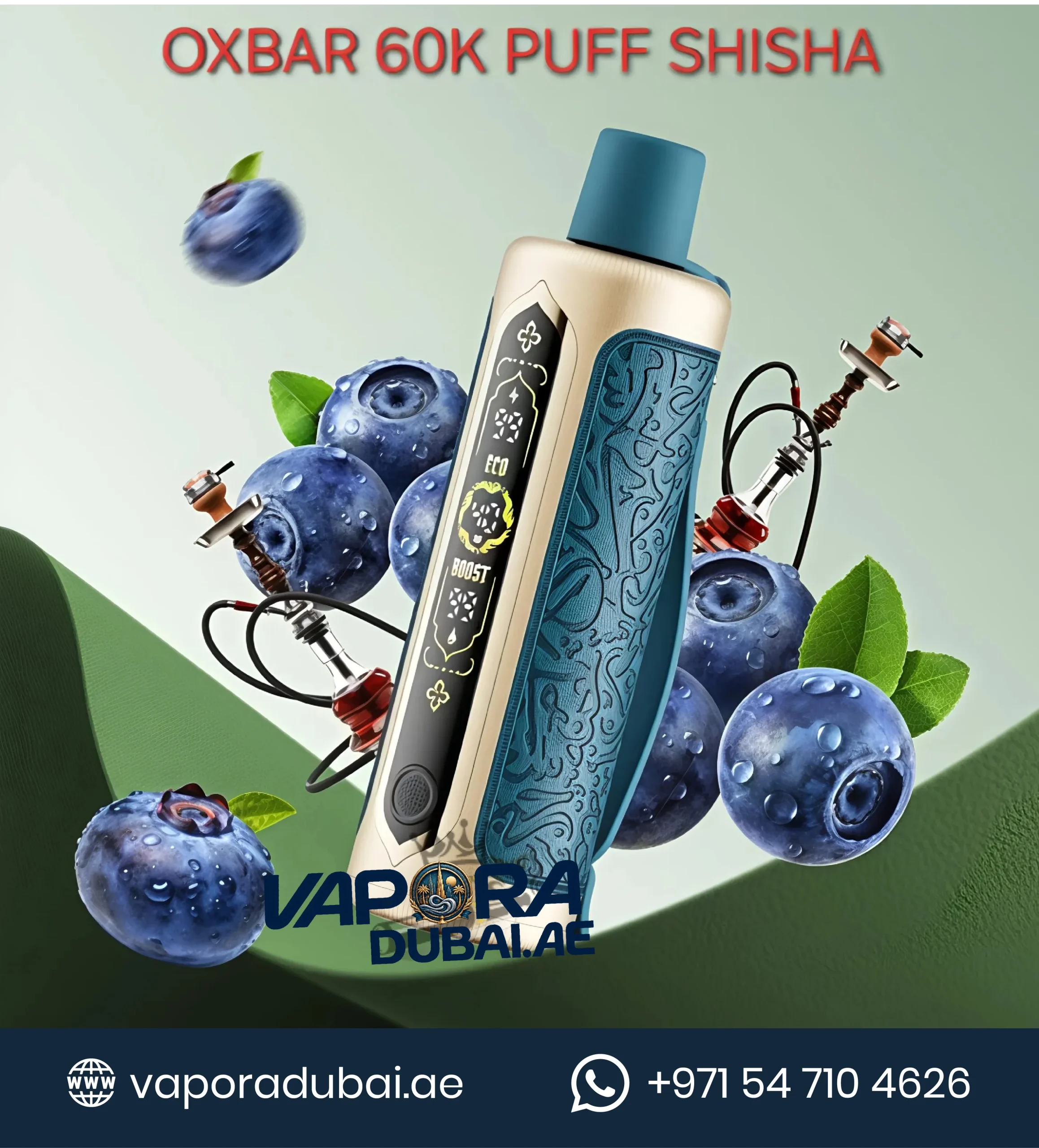 Oxbar Shisha 60000 Puffs Blueberry Disposable Vape in Dubai
