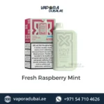 Pod Salt Nexus 6000 Puffs FRESH RASPBERRY MINT in Dubai UAE