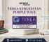 TEREA Purple Wave Flavor in Abu Dhabi