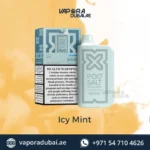 Pod Salt Nexus 6000 Puffs ICY MINT in Dubai UAE